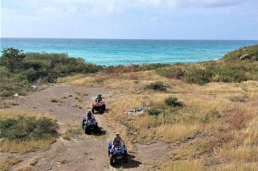 3 Single ATVs 2