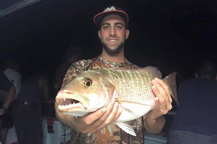 BEAUTIFUL MANGROVE SNAPPER 8 PM NIGHT TRIP 2