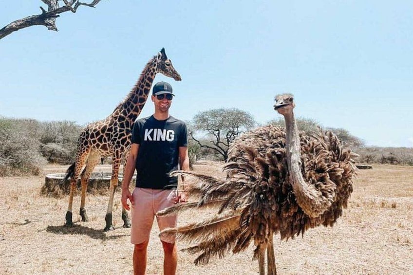Una persona parada junto a una jirafa y un avestruz en un paisaje seco y abierto con pocos árboles. 1