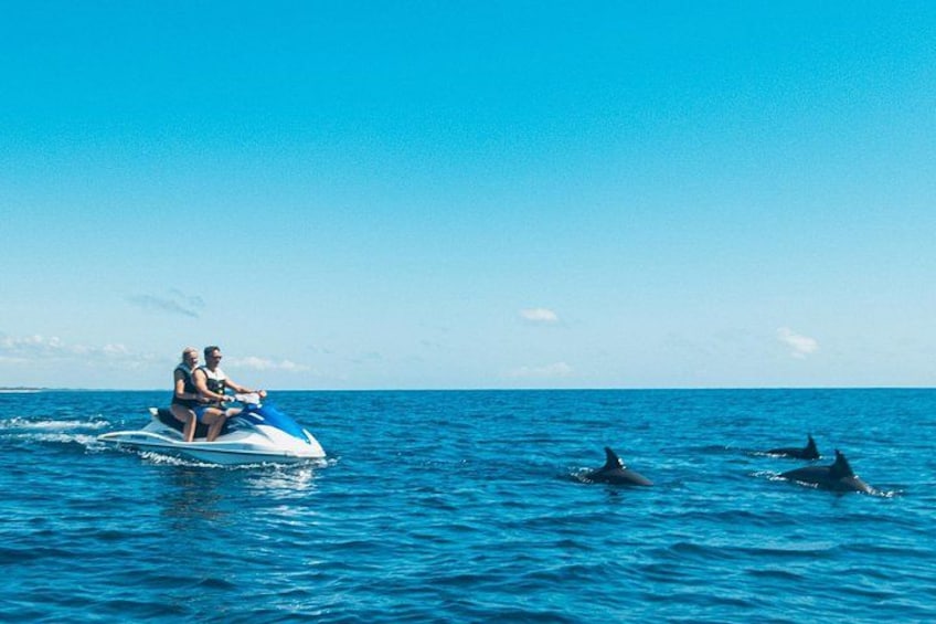 A person riding a jet ski on the ocean with dolphins swimming nearby. 3