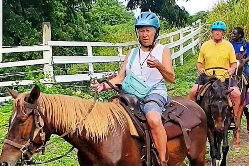 Horseback Riding, A Scenic Escape 5