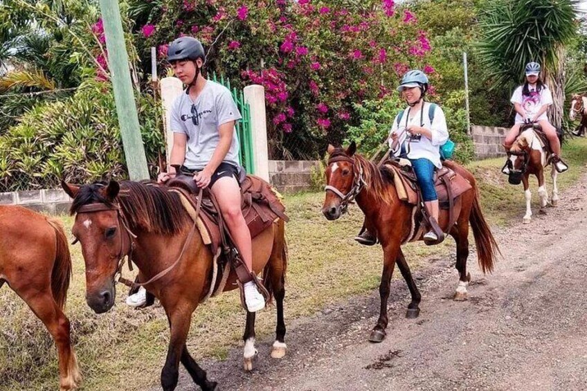 Horseback Riding, A Scenic Escape 3