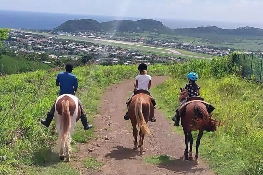 Horseback Riding, A Scenic Escape 1
