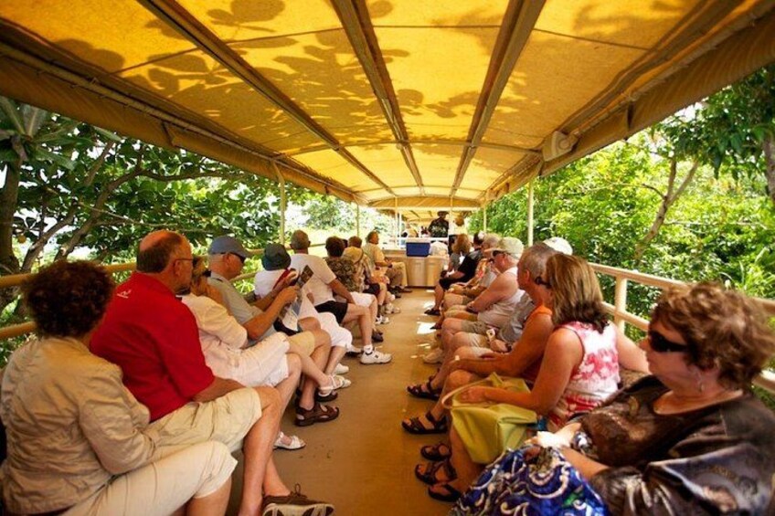 St. Kitts Scenic Train Experience 5