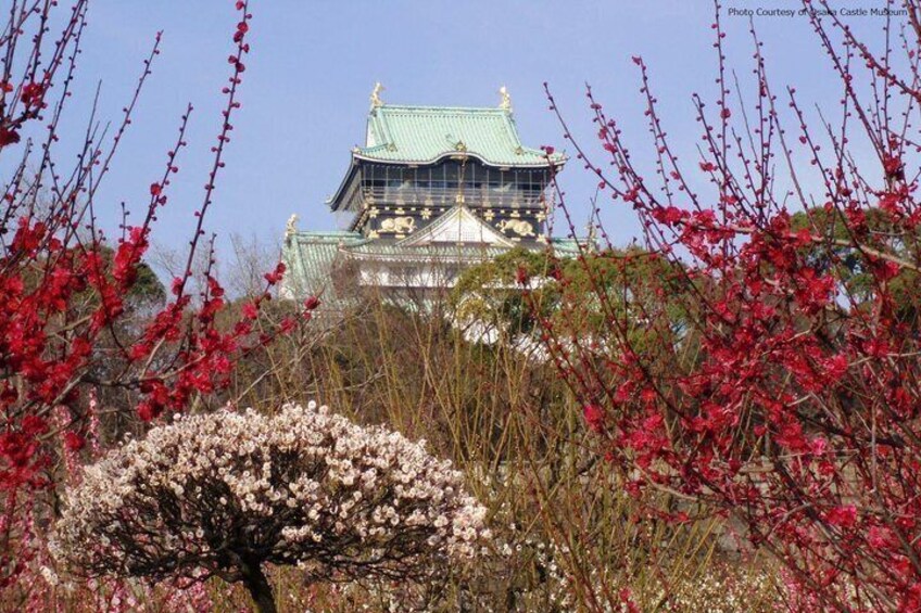 Osaka Afternoon Walking Tour: Osaka Castle & River Cruise 3