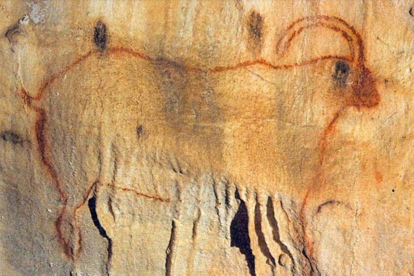 A cave painting of a bison. 1
