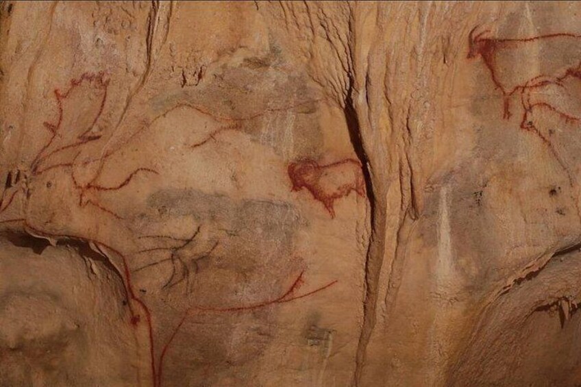 Sarlat : Private Tour to a Prehistoric Cave by Exploreo24 2
