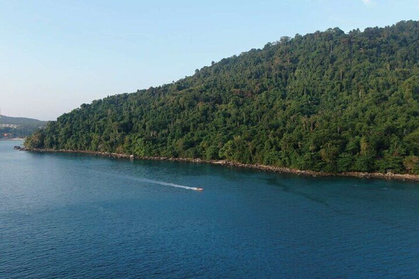 A river with a boat creating a wake, surrounded by dense green forest and a hill in the background. 4