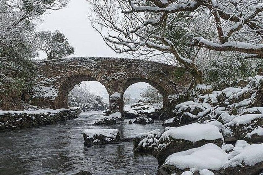 Un puente de piedra sobre un río cubierto de nieve, rodeado de árboles cargados de nieve. 3