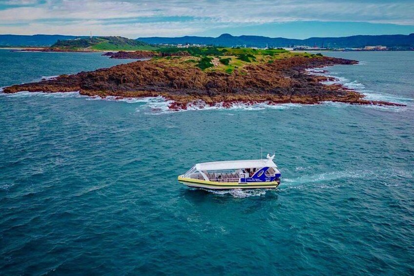 Whale Watching Cruise in New South Wales 3