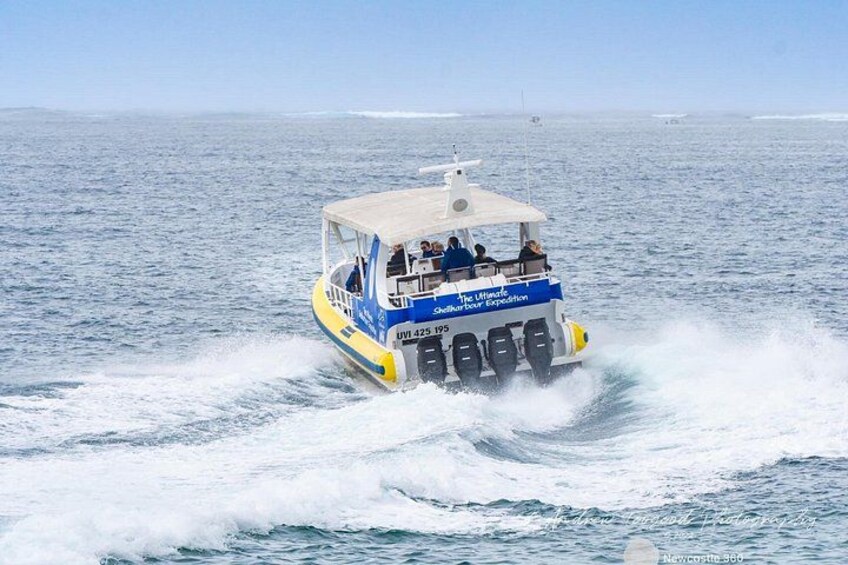 Whale Watching Cruise in New South Wales 2