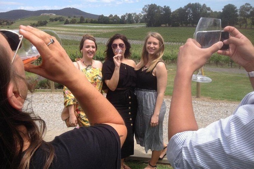 Un groupe de personnes trinquant avec des verres de vin dans un vignoble. 4