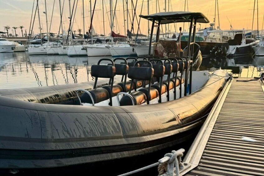 Depart Saint Raphaël: Meet the Dolphins 3