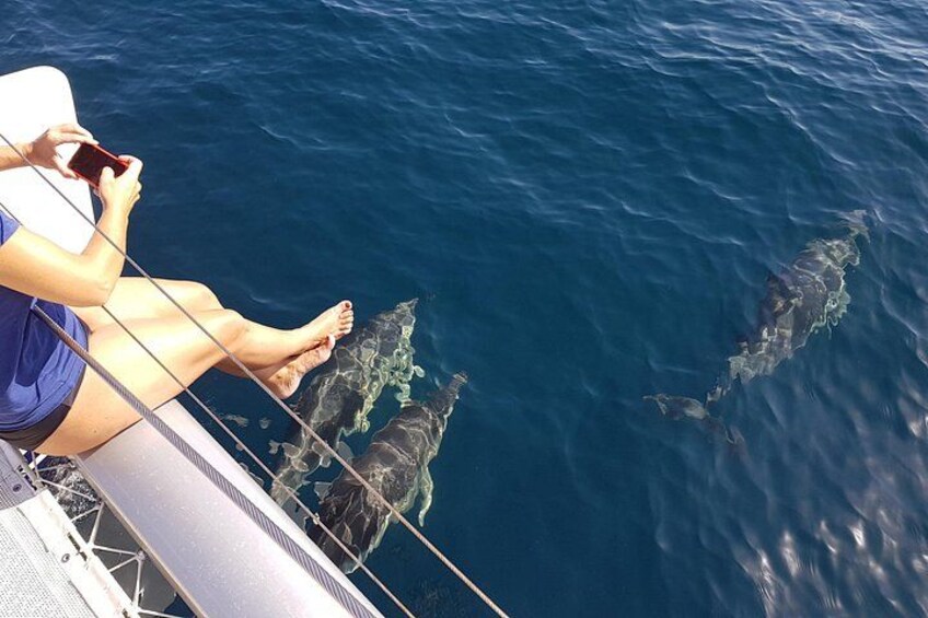 Awsome experience on board a catamaran in Marbella 3