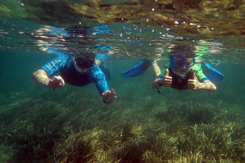 Two people snorkeling underwater with fins and masks. 4