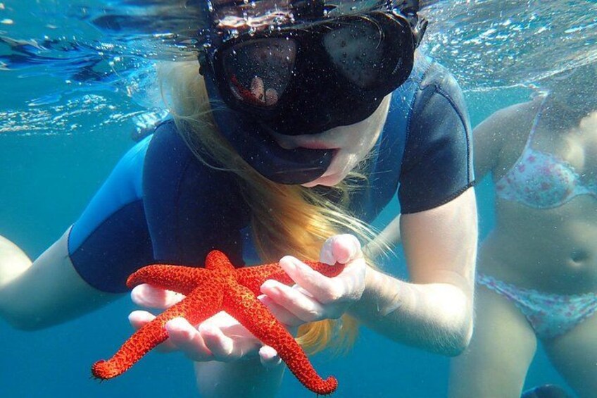 A person underwater holding a red starfish. 1