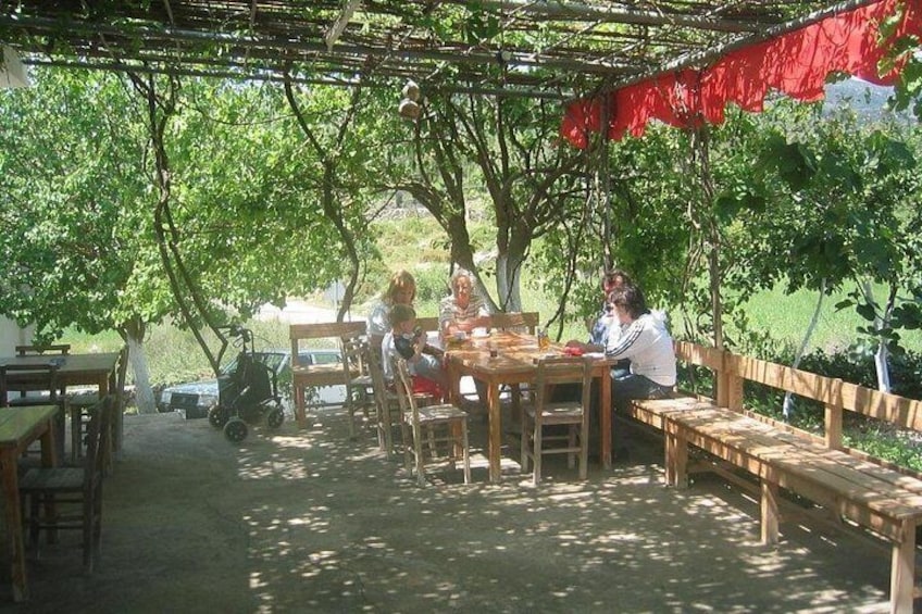 An outdoor café with wooden tables and benches, surrounded by trees. 3