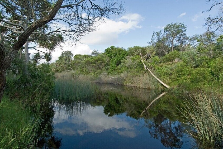 2 Day Fraser (K'Gari) 4WD camping Adventure tour