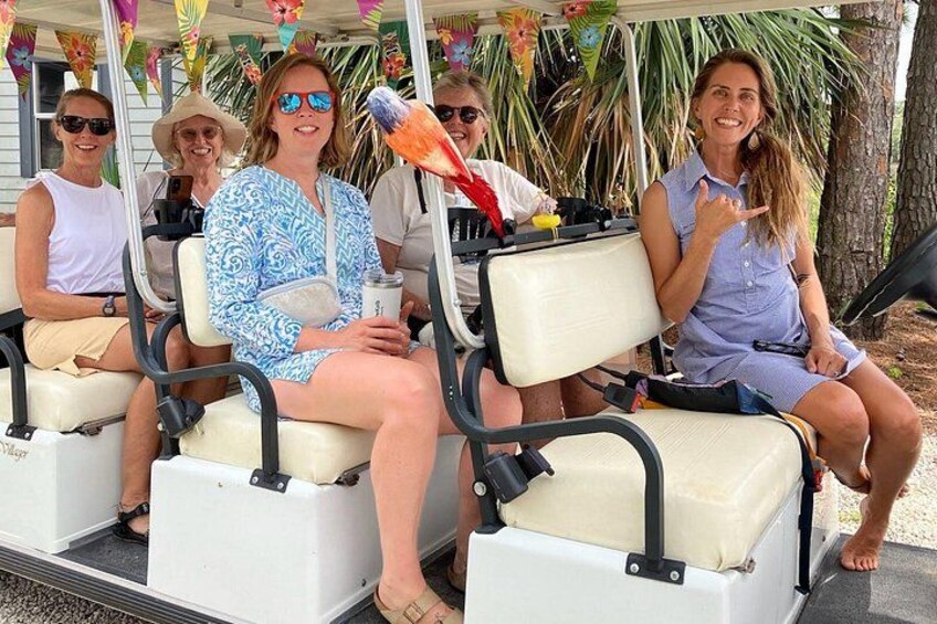 Historic Tour of Tybee Island 2
