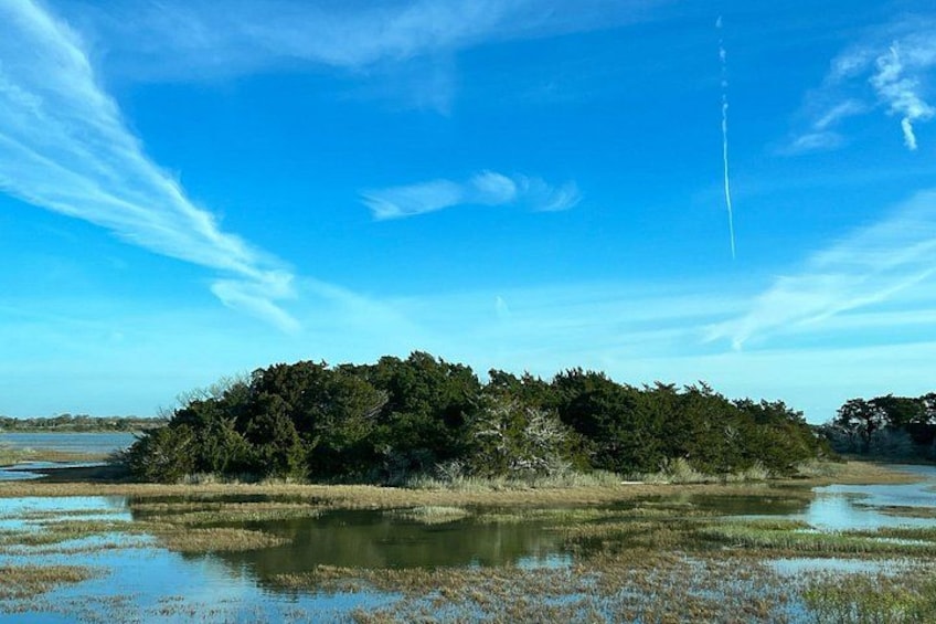 Historic Tour of Tybee Island 2