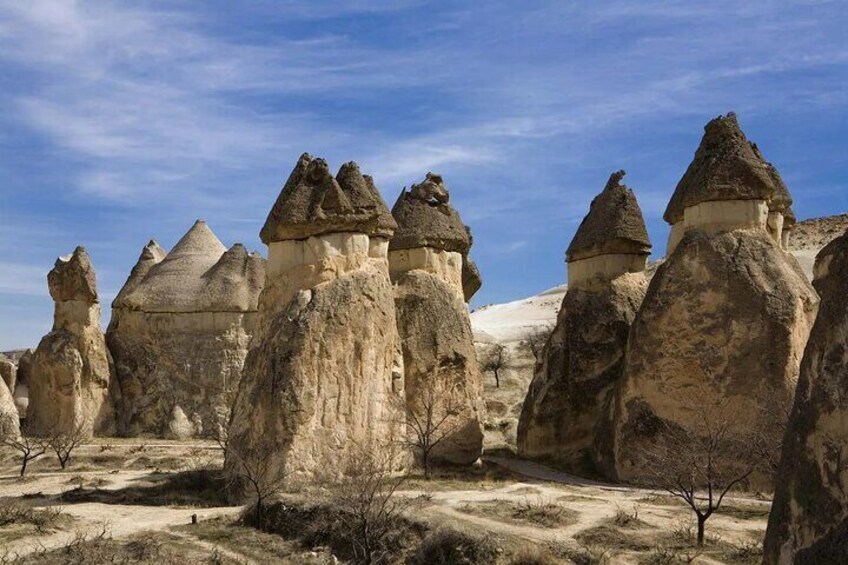 Paesaggio con formazioni rocciose uniche a forma di funghi, cielo sereno e vegetazione rada. 3