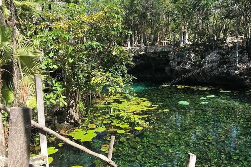 Cenote Nicte Ha 3