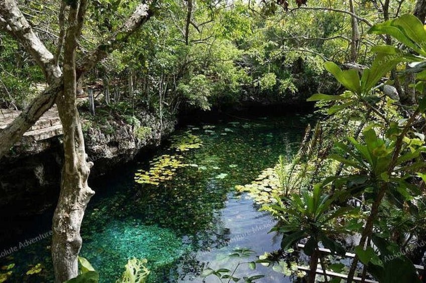 Cenote Nicte Ha 5