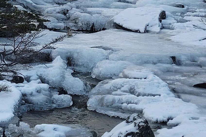 Une rivière gelée, avec des formations de glace et des rochers recouverts de neige. 5
