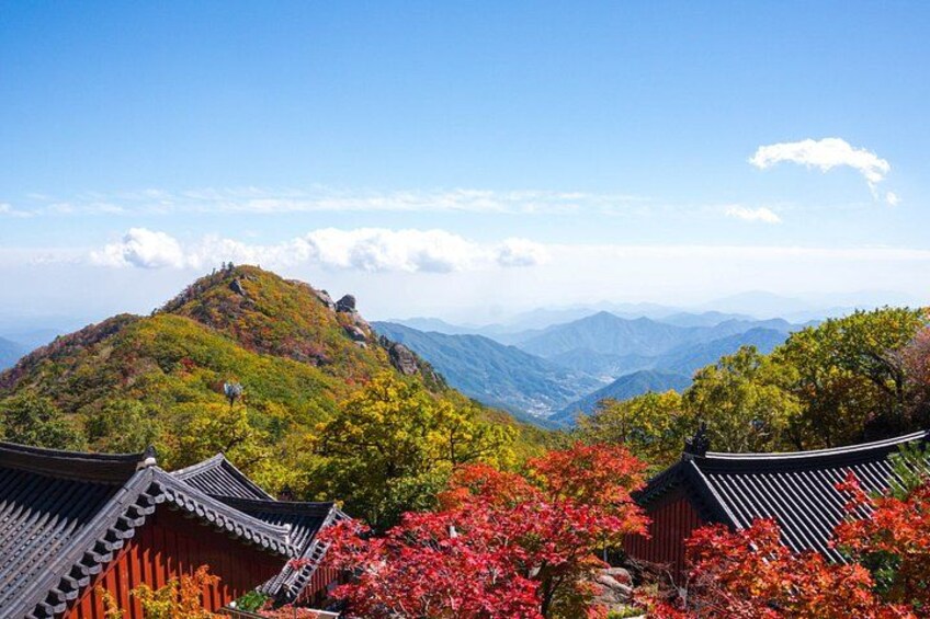 Traditional Korean architecture, a mountain landscape, and autumn foliage. 4