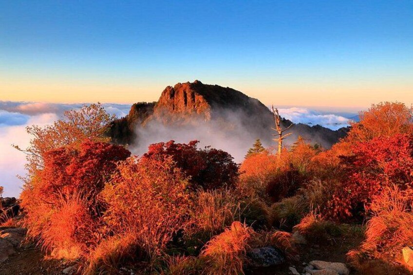 A mountain peak with autumn foliage, surrounded by mist and low-lying vegetation. 1