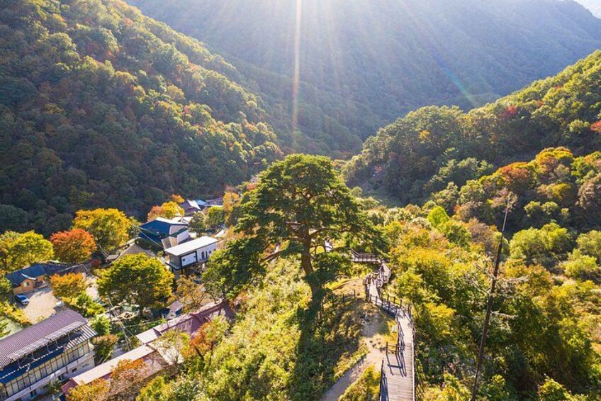 A mountainous landscape with a winding path, buildings, and a large tree. 3