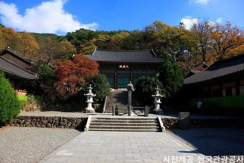 A traditional Japanese temple with a stone pathway leading to the entrance, surrounded by autumn foliage. 2