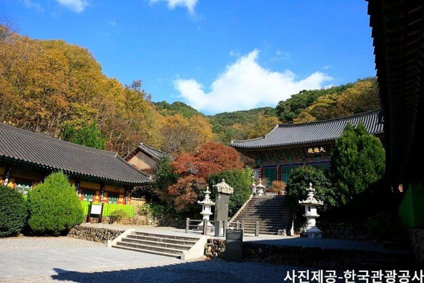 A traditional Korean temple complex with a stone staircase leading to the main building. 5