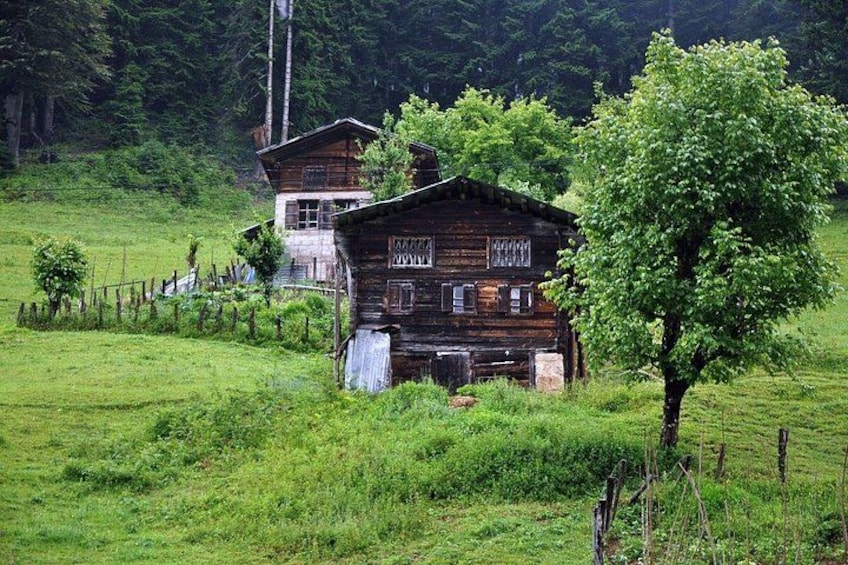 A rustic wooden house surrounded by lush green fields and a tree. 5