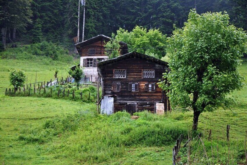 Ayder Tour with Fırtına Valley Adventure: Full-Day Experience