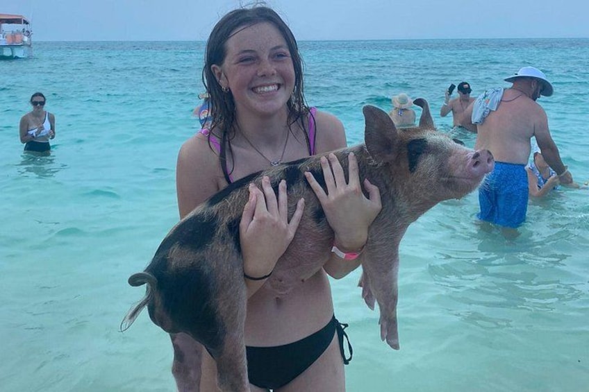 Swimming with pigs at rose island one of out 3 stops 3