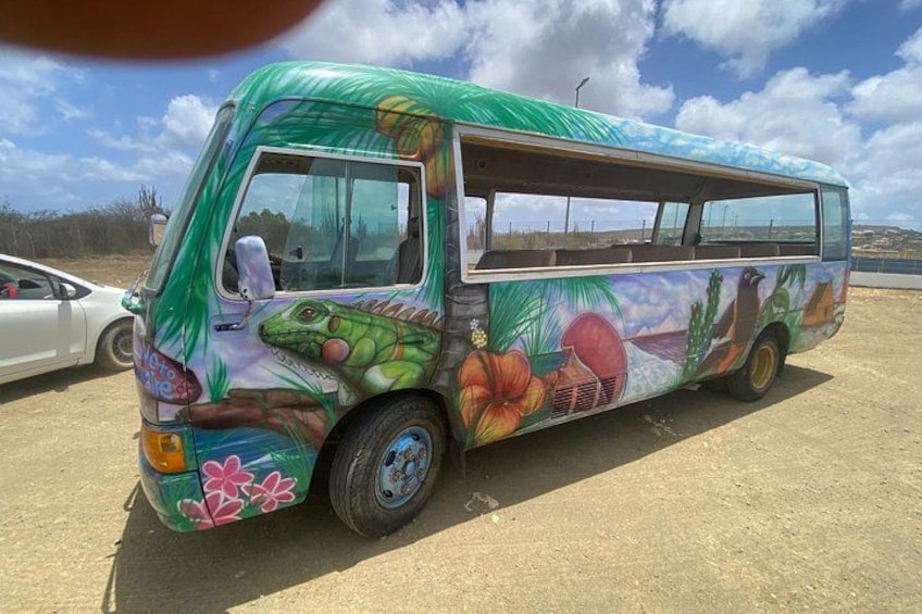 Bonaire 2 hour Island Tour & 2 hour Beach Stay 2