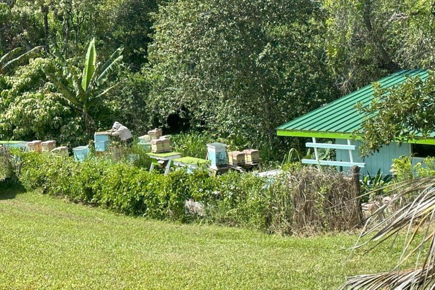 Une construction surmontée d’un toit végétalisé, entourée d’une végétation luxuriante et d’un champ d’herbe. 3