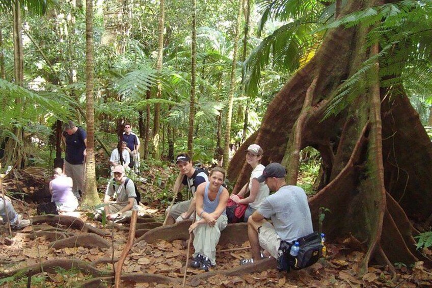 St. Kitts Rainforest Rumble (with Snacks) 1
