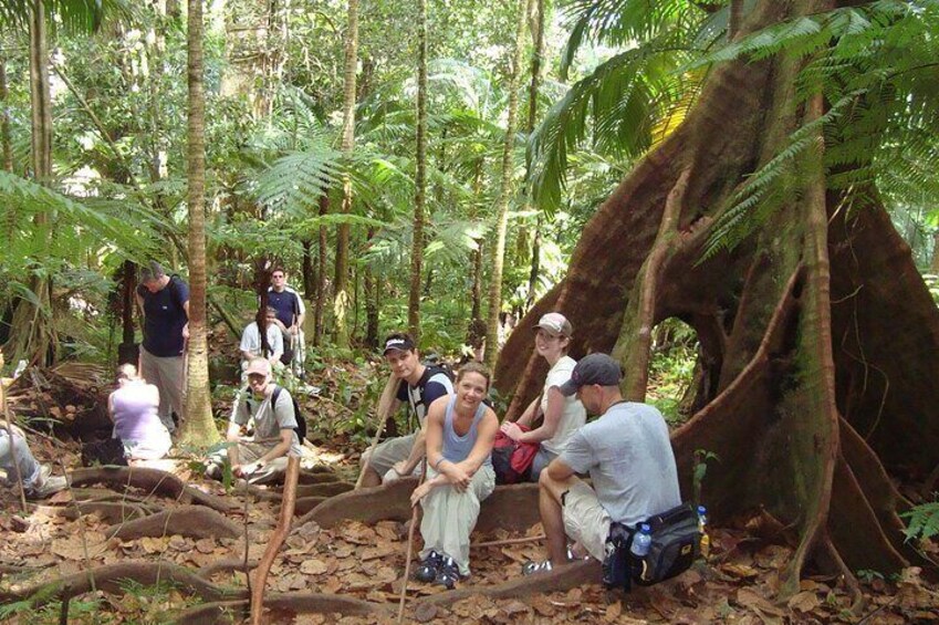 St. Kitts Scenic Rainforest Hike Tour with Snacks