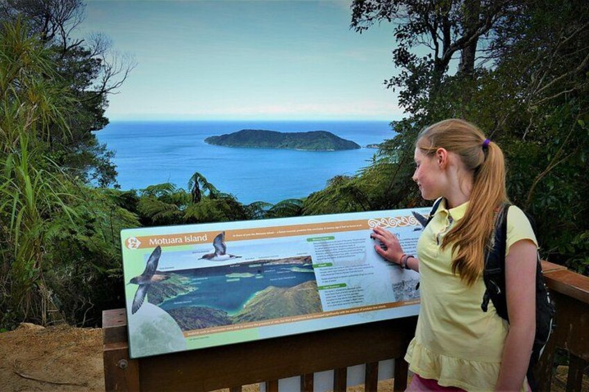 A person reading a sign about Motuara Island with a scenic view of the ocean and hills in the background. 1