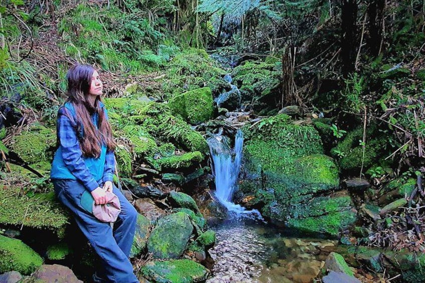 A person sitting on rocks by a small stream in a forested area. 5