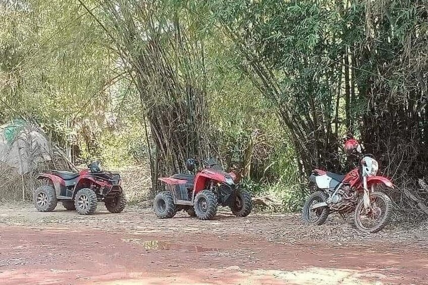 Trois véhicules tout-terrain étaient stationnés sur un chemin de terre, au milieu d’une forêt de bambous dense. 4
