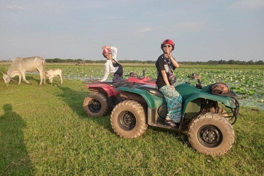Deux personnes sont assises sur un quad vert dans un champ où se trouvent des vaches. 2