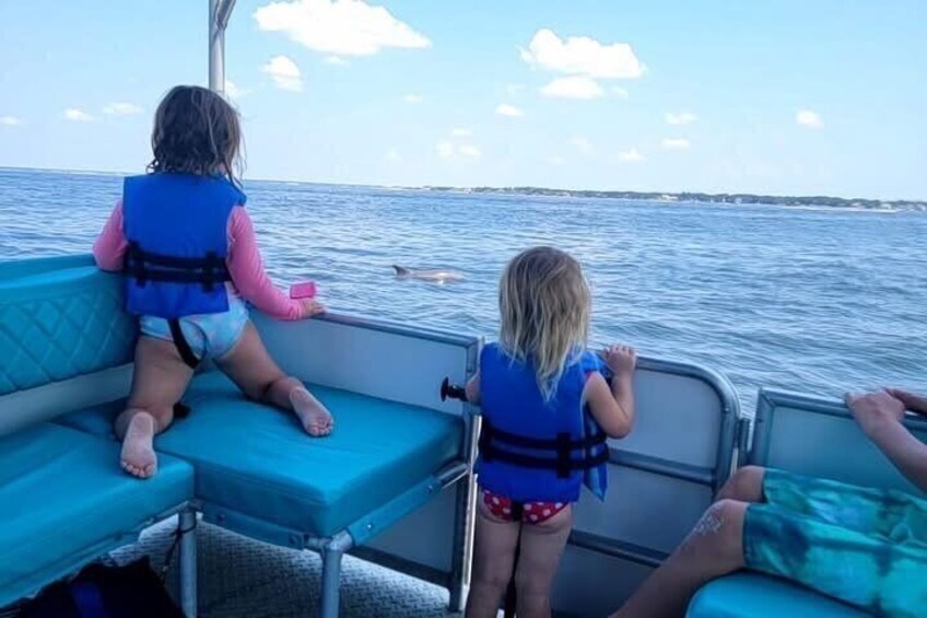 Frisky Mermaid Scenic Bay Cruise + Snorkeling Stop + Equipment 3
