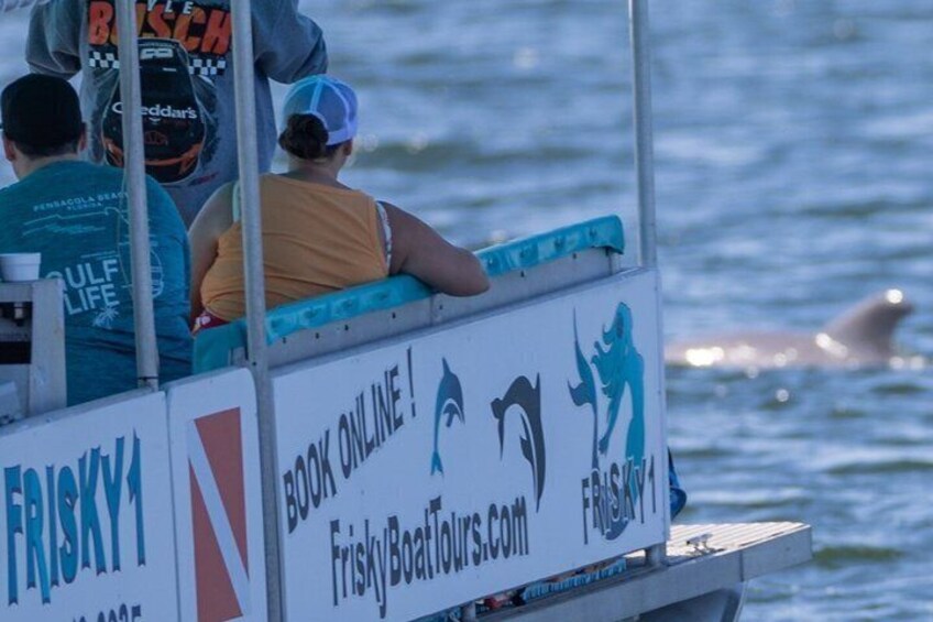 Frisky Mermaid Scenic Bay Cruise + Snorkeling Stop + Equipment 2