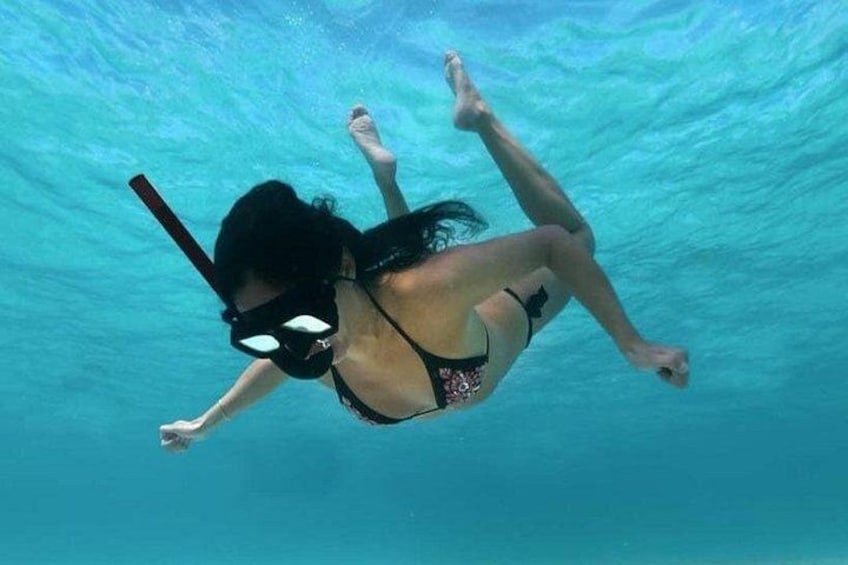A person scuba diving underwater. 4