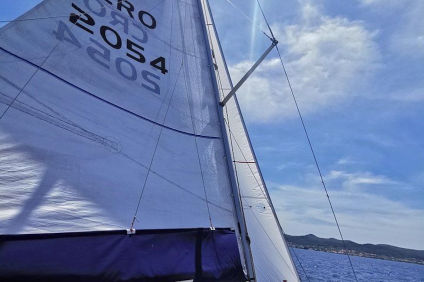 Een zeilboot met het nummer '2054' op het zeil. 3