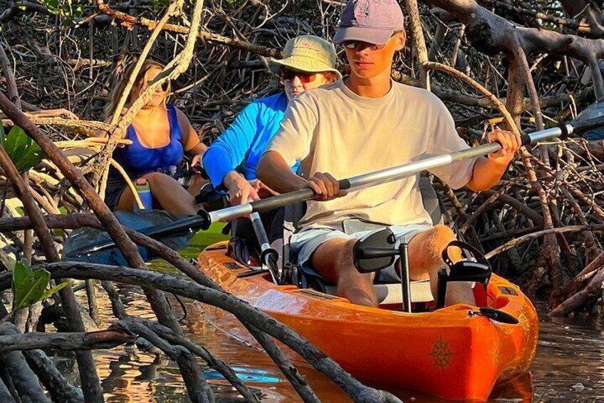 Elite Hobie Kayak Experience: Ultimate Premium Eco Adventure! 2