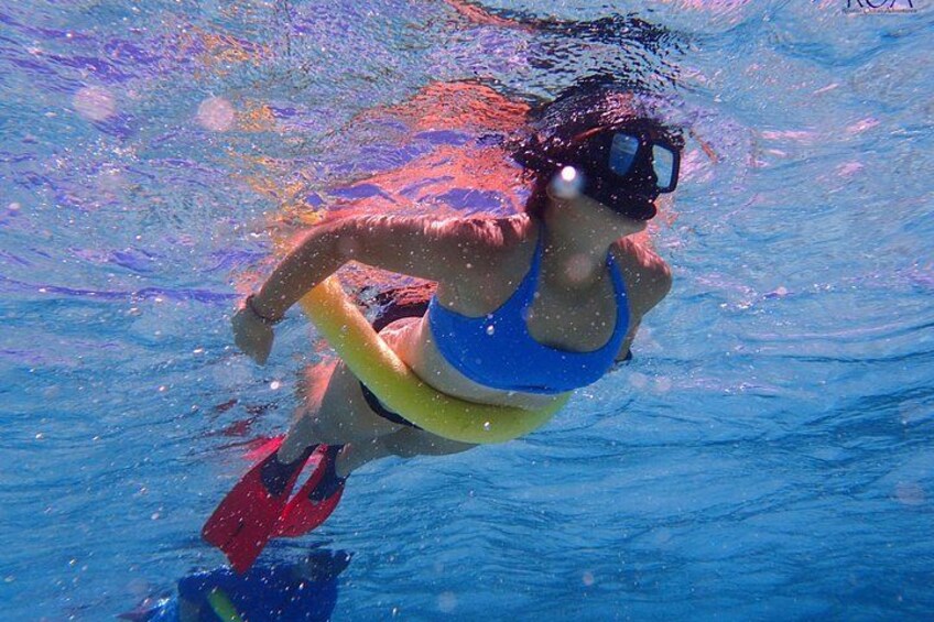Roatan Drift Snorkel and Monkey/Sloth Sanctuary Tour 2